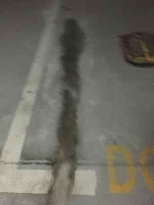 新聞 阿拉善盟地下室伸縮縫堵漏公司 新聞資訊