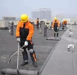 德生防水裝潢加盟圖片 加盟店裝修圖