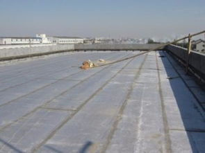 圖 浦東區(qū)陸家嘴防水補(bǔ)漏公司專業(yè)承接防水補(bǔ)漏項(xiàng)目施工 上海房屋維修