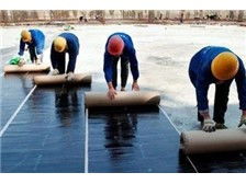 廣東誠信防水補漏公司產品展示