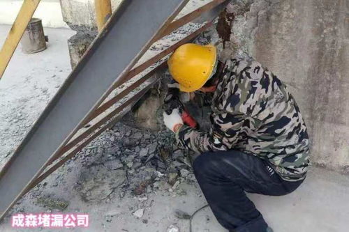 2021歡迎訪問 西安污水池堵漏本地公司 實業集團