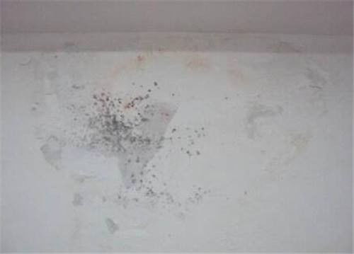 圖 廣州市從化上門防水補(bǔ)漏公司價(jià)格多少錢 廣州房屋維修